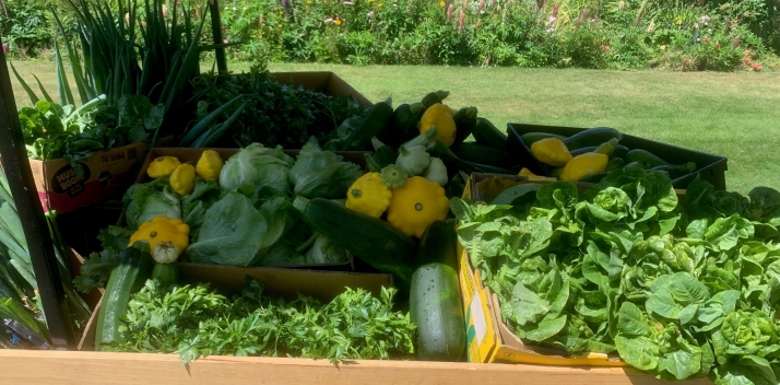 Community Garden