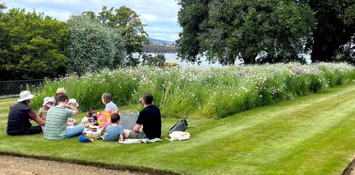 Lunch on the Lawn