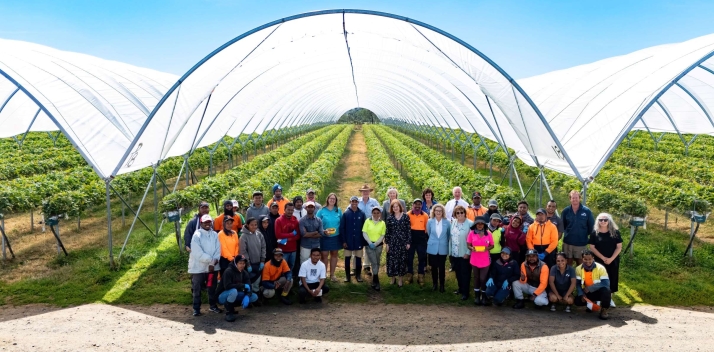 Her Excellency with a large group of staff at the Mountford Berry Farm