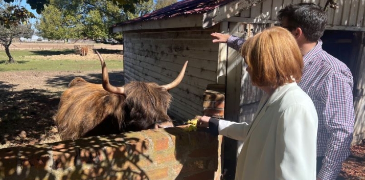 Her Excellency meeting a Highland cow on a tour of Ratho Farm