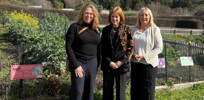 School Food Matters Inc 25-08-25