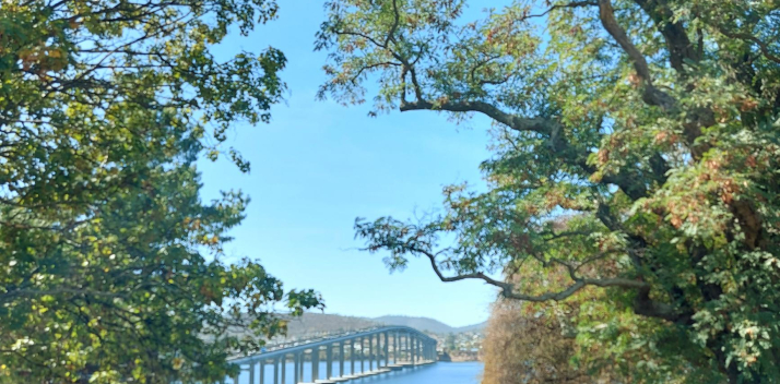 summer time bridge.jpg