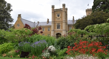 Open Day banner