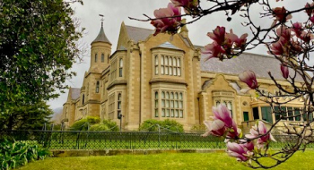 GH + garden - magnolia