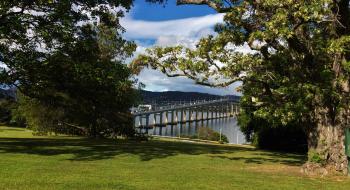 australian-institute