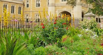 Government House Grounds