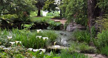 ornamental-garden-tours