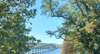 summer time bridge.jpg