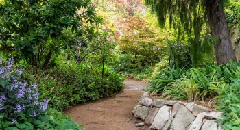 wednesday-1-september